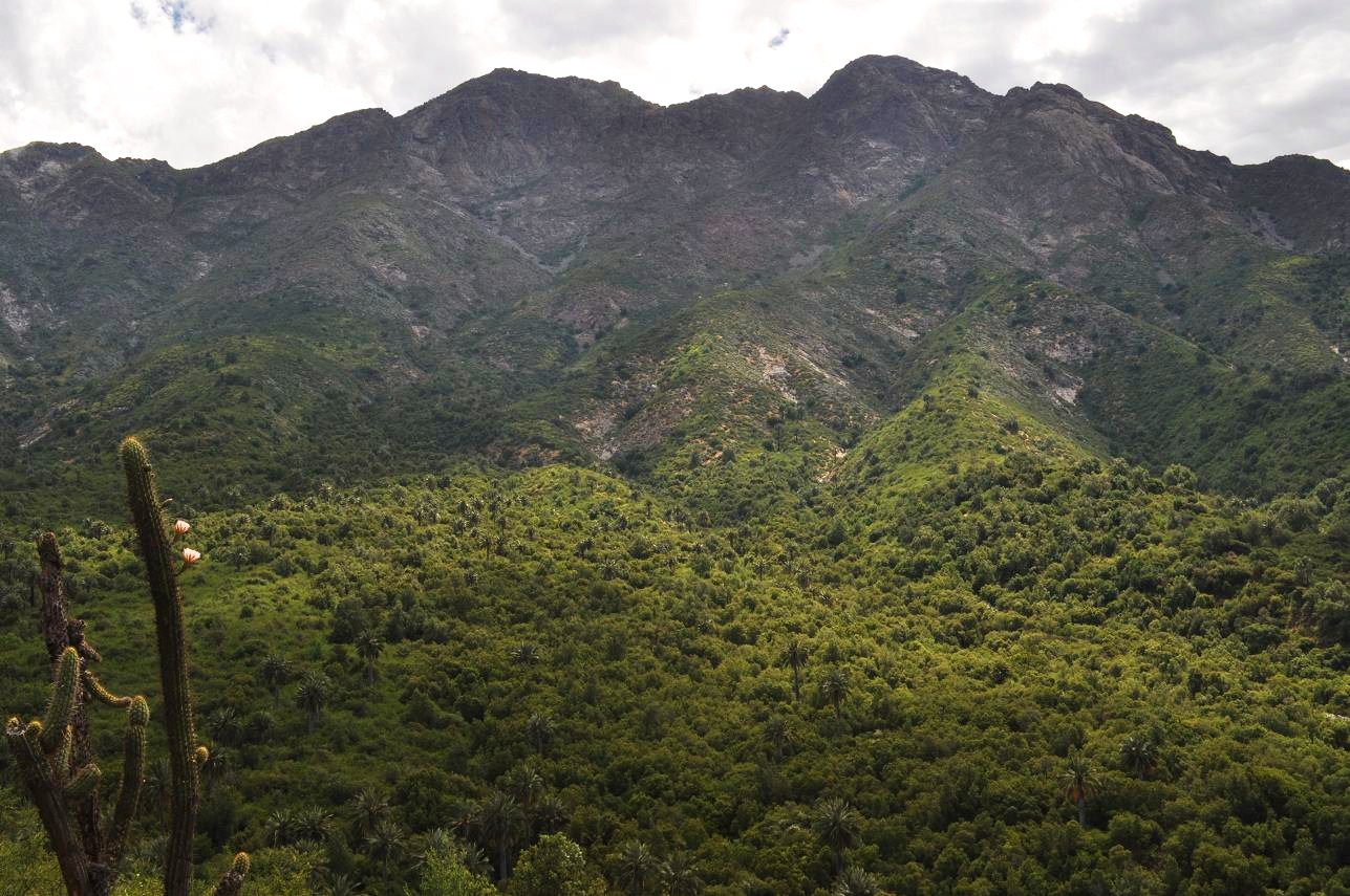 La Campana National Park Chile 